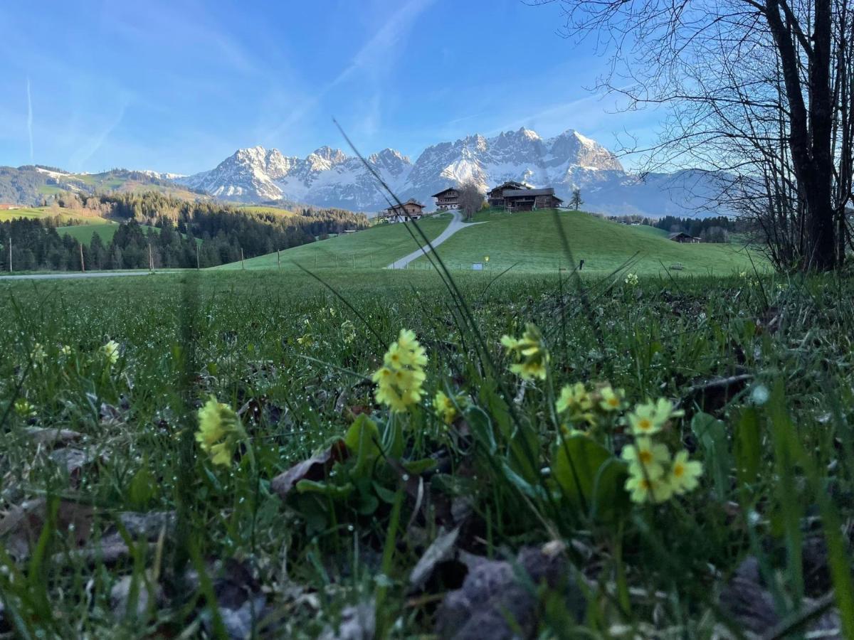 Mountain Vista - Bio Yoga Hof Apartman Kitzbühel Kültér fotó